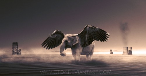 mi_firt_cs5_test_by_valvicto4-d3aqt5x