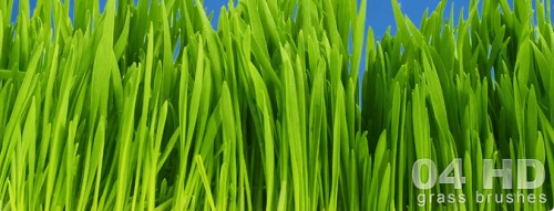 grass-hd-brushes-large