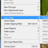A Beginner’s Guide to Photoshop Masks – Part One