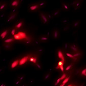 Mini PS Tutorial Series Vol.5 – Create Fiery Particle Effect in Photoshop
